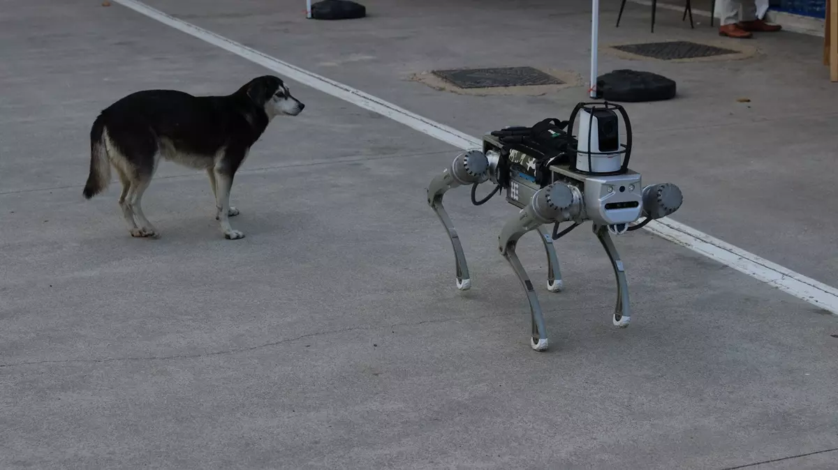 Beton zeminde yürüyen dört bacaklı robot köpek ve ona bakan gerçek bir köpek